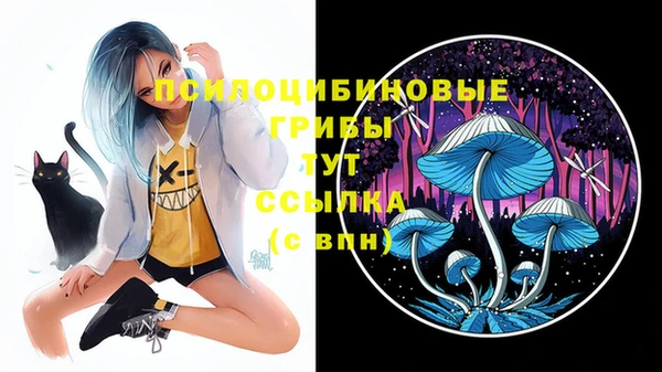 ГАЛЛЮЦИНОГЕННЫЕ ГРИБЫ Бугульма
