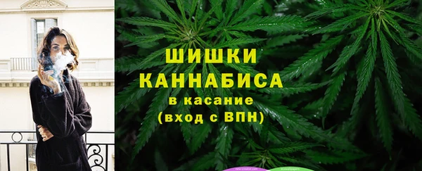 ГАЛЛЮЦИНОГЕННЫЕ ГРИБЫ Бугульма